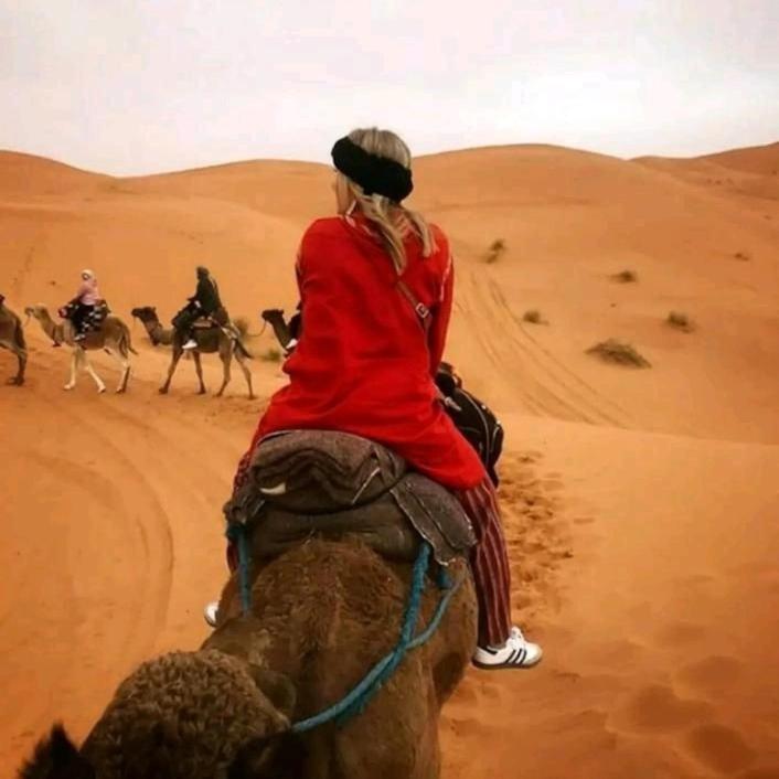 Auberge La Palmeraie M'Hamid Ngoại thất bức ảnh